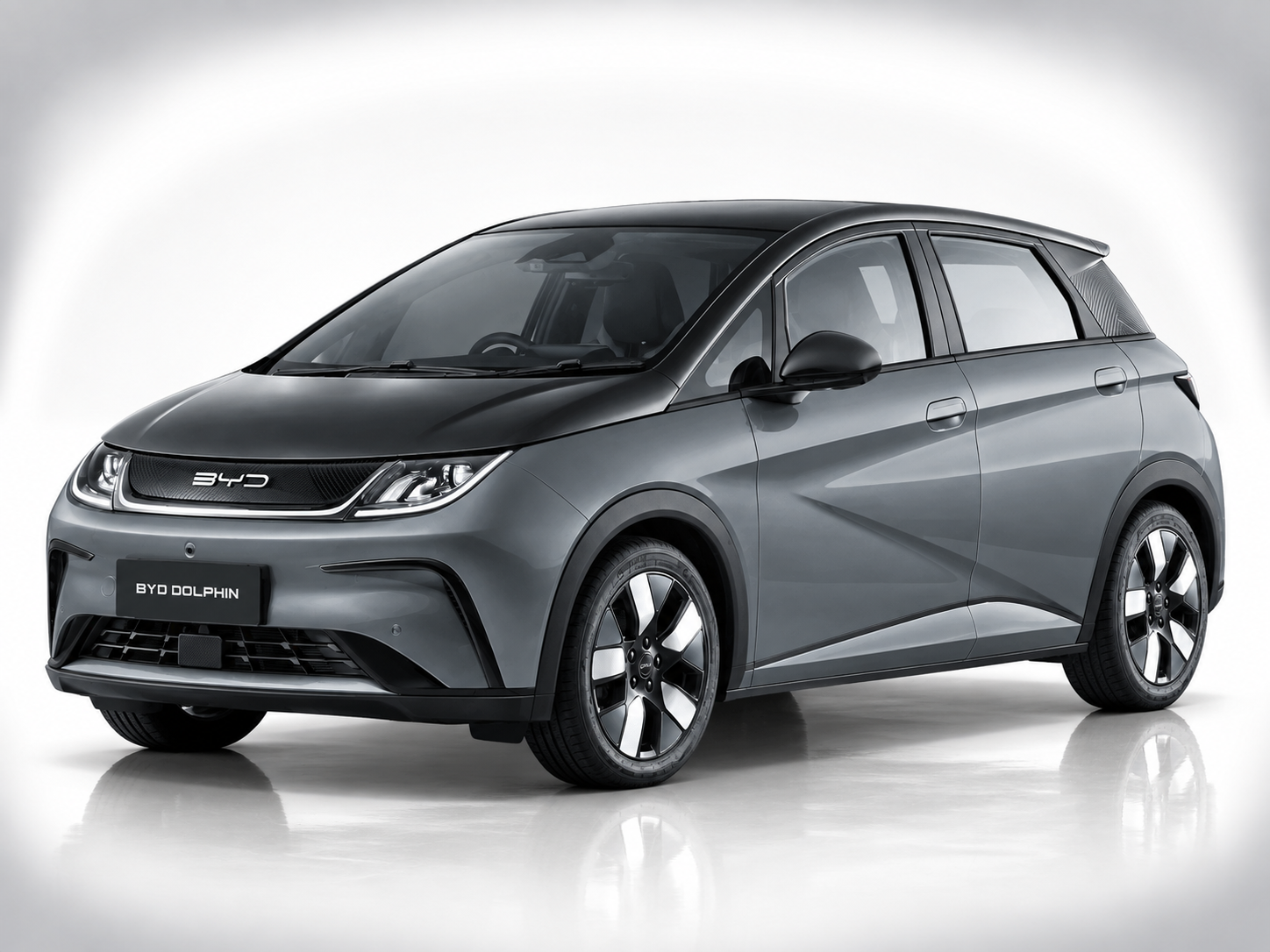 BYD DOLPHIN Harbour Grey